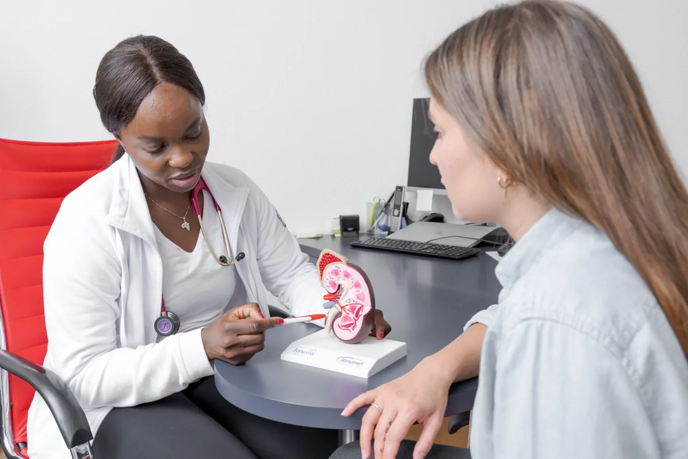 Ärztin zeigt einer Patientin etwas am Modell